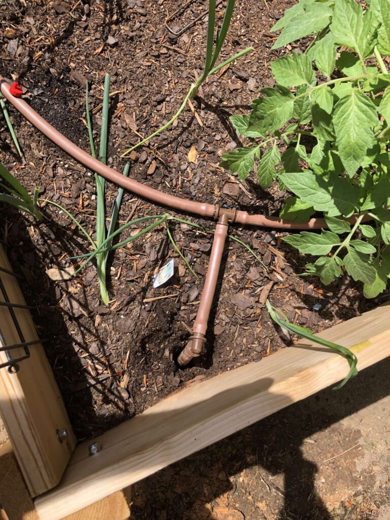 Drip irrigation and copper supply line running through a vegetable garden bed in the Triangle, NC