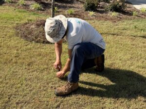 Cary Sprinklers technician replacing a pop-up sprinkler head in a Cary, NC lawn